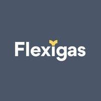 flexigas logo image