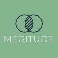 meritude logo image