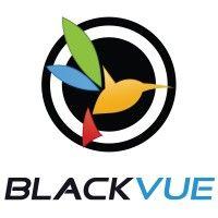 pittasoft co., ltd / blackvue™ logo image