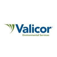 valicor logo image