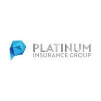 platinum insurance group, inc. logo image