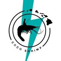 coco shrimp logo image