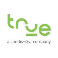 true energy a/s - a landis+gyr company logo image