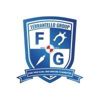 ferrantello group land surveying logo image