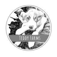 teddy farms logo image