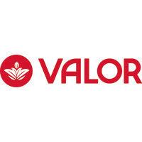 chocolates valor, s.a. logo image