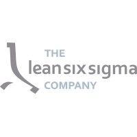 the lean six sigma company cee