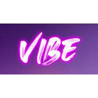 vibe logo image