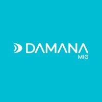 damana logo image