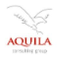 aquila consulting group logo image