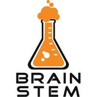 brain stem logo image