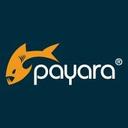 logo of Payara Services Ltd