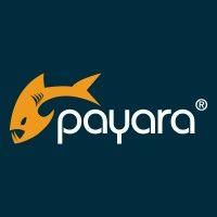 payara services ltd