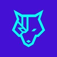 cyberwolves logo image