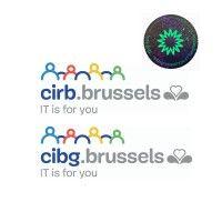 cirb_cibg logo image