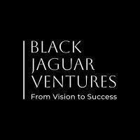 black jaguar ventures logo image