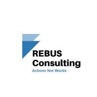 rebus consulting llc logo image