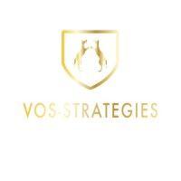 vos strategies llc logo image