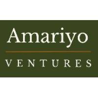 amariyo ventures logo image