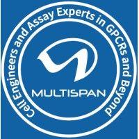 multispan, inc. logo image