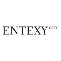 entexy logo image