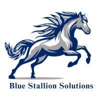 blue stallion solutions