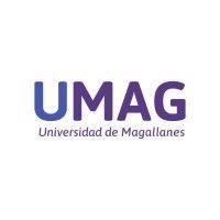 universidad de magallanes logo image