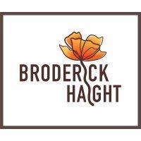 broderickhaight consulting logo image