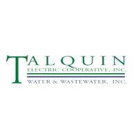 talquin electric cooperative, inc. logo image