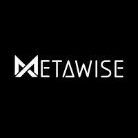 metawise web3 marketing logo image