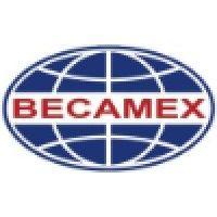 becamex idc logo image