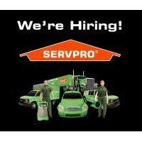 servpro of dothan logo image