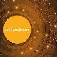 netpoleon singapore logo image