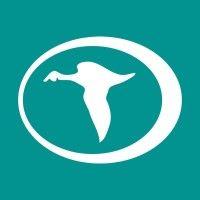 teal construction company logo image