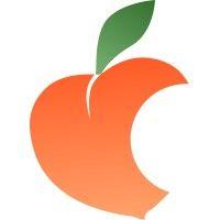 peachskinsheets logo image