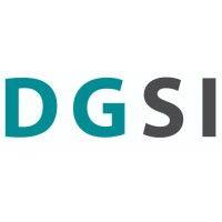 dgsi logo image