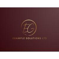 example solutions ltd logo image