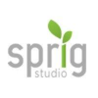 sprig studio logo image