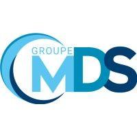 mds consulting llc logo image