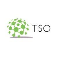 tso consultants pvt. ltd. logo image