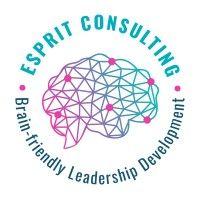 esprit consulting logo image