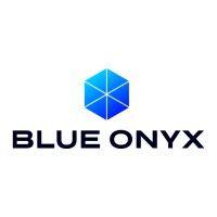 blue onyx logo image