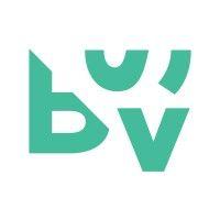 bsv digital displays logo image