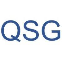 quantitative strategies group llc logo image