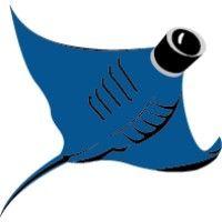 videoray: underwater robots logo image