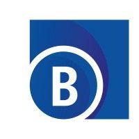 breitband ortenau gmbh& co kg logo image