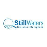 still waters business intelligence logo image