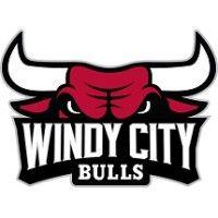 windy city bulls logo image