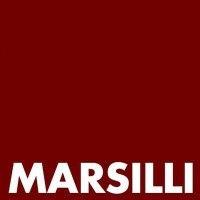 marsilli india pvt. ltd.