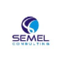 semel consulting